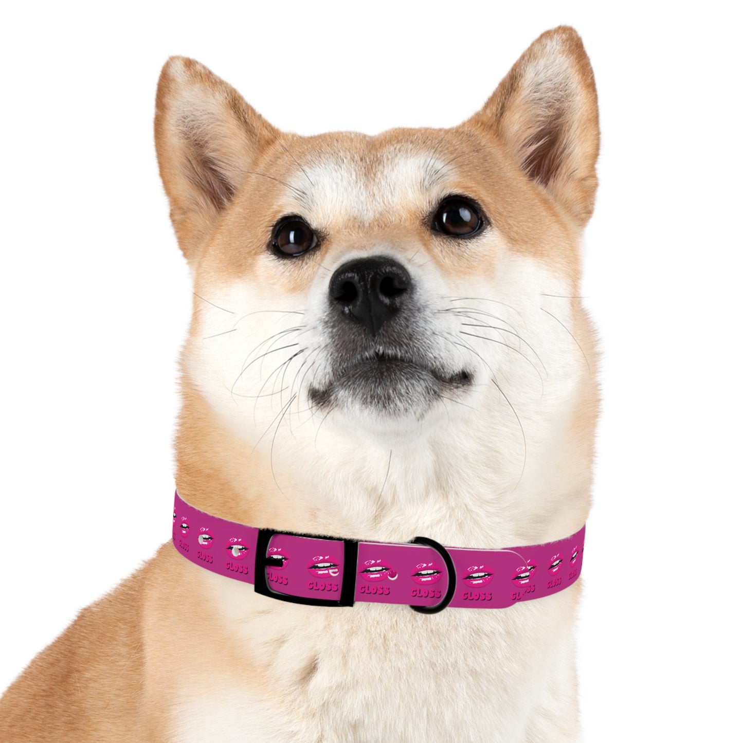 Dog Collar | Pink