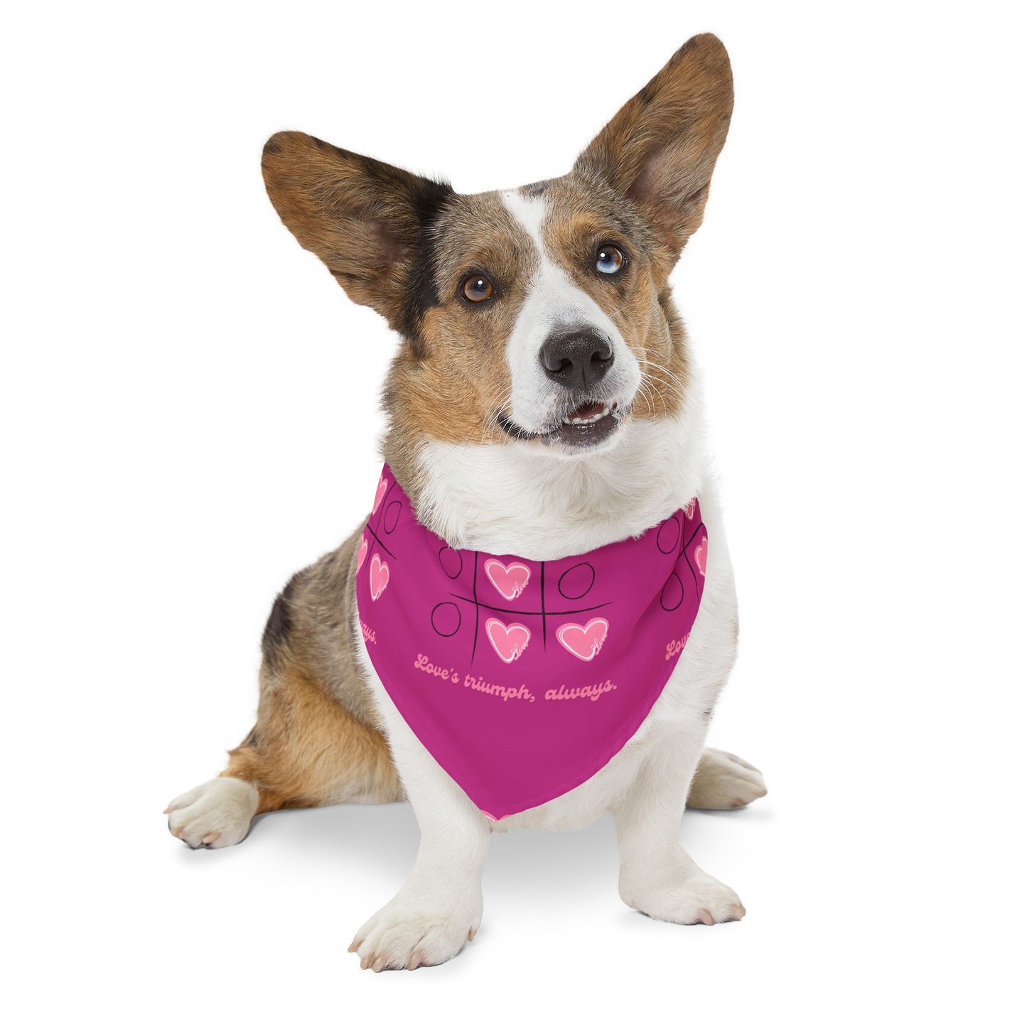 Pet Bandana | Pink Frog - Dog Collar