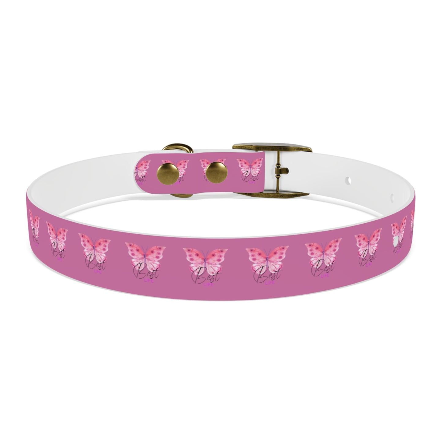 Dog Collar | Pink