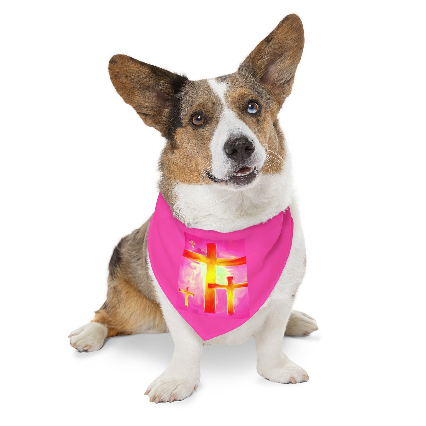 Pet Bandana | Pink Frog - Dog Collar