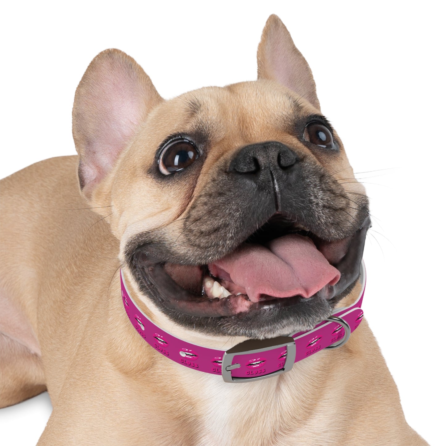 Dog Collar | Pink