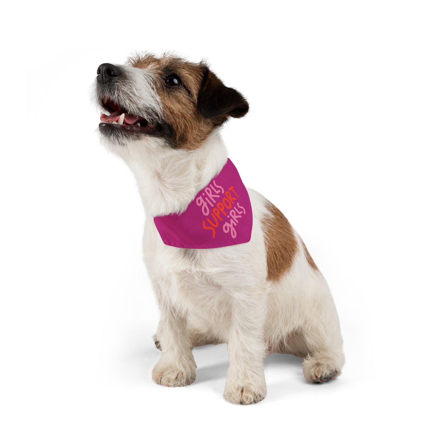 Pet Bandana | Pink Frog - Dog Collar