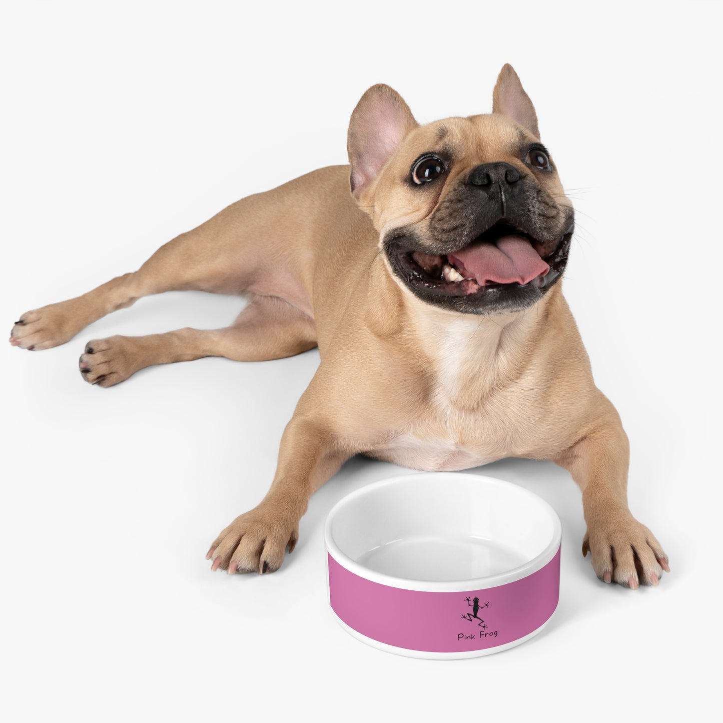 Pink Pet Bowl | Pets Feeding Bowls