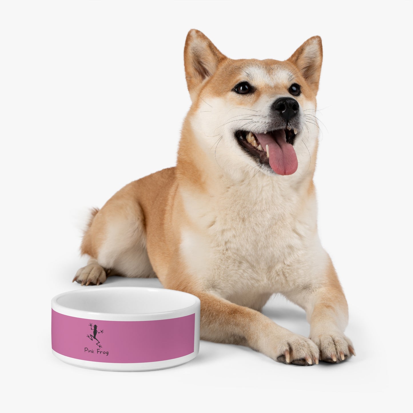 Pink Pet Bowl | Pets Feeding Bowls