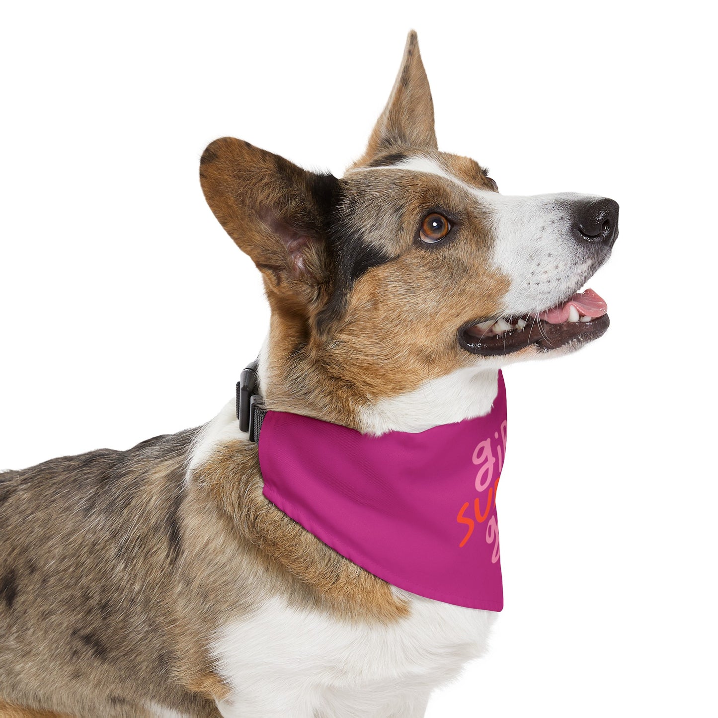 Pet Bandana | Pink Frog - Dog Collar