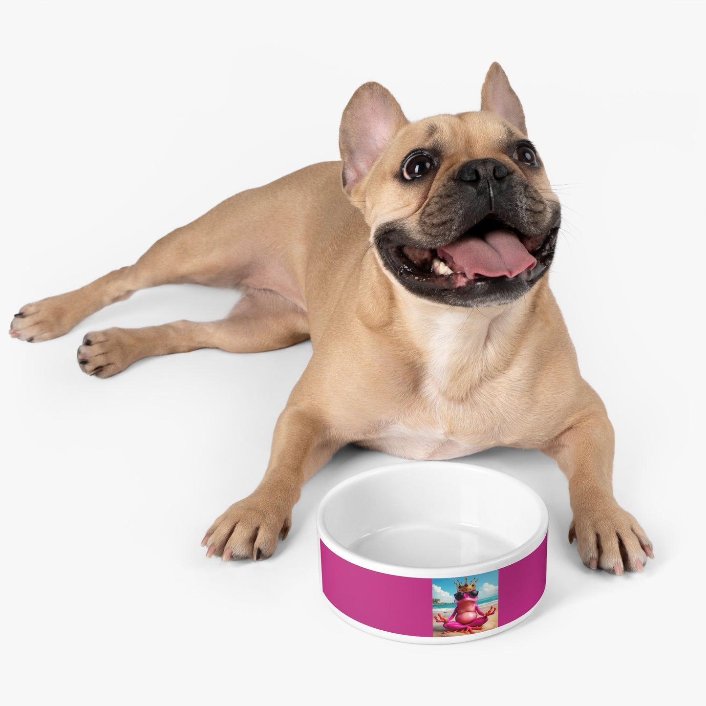 Pink Pet Bowls | Pets Feeding Bowl