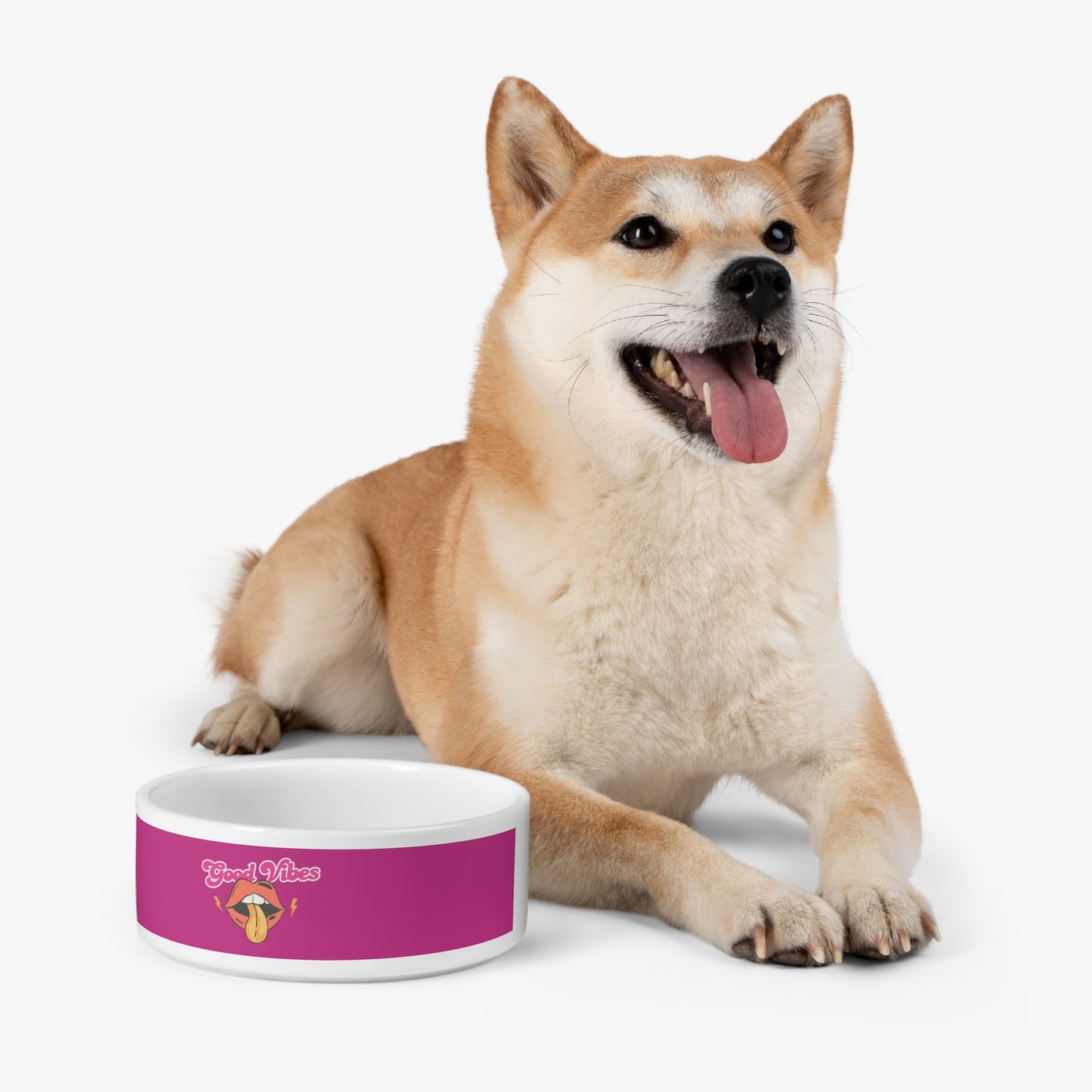 Pink Pet Bowl | Pets Feeding Bowls