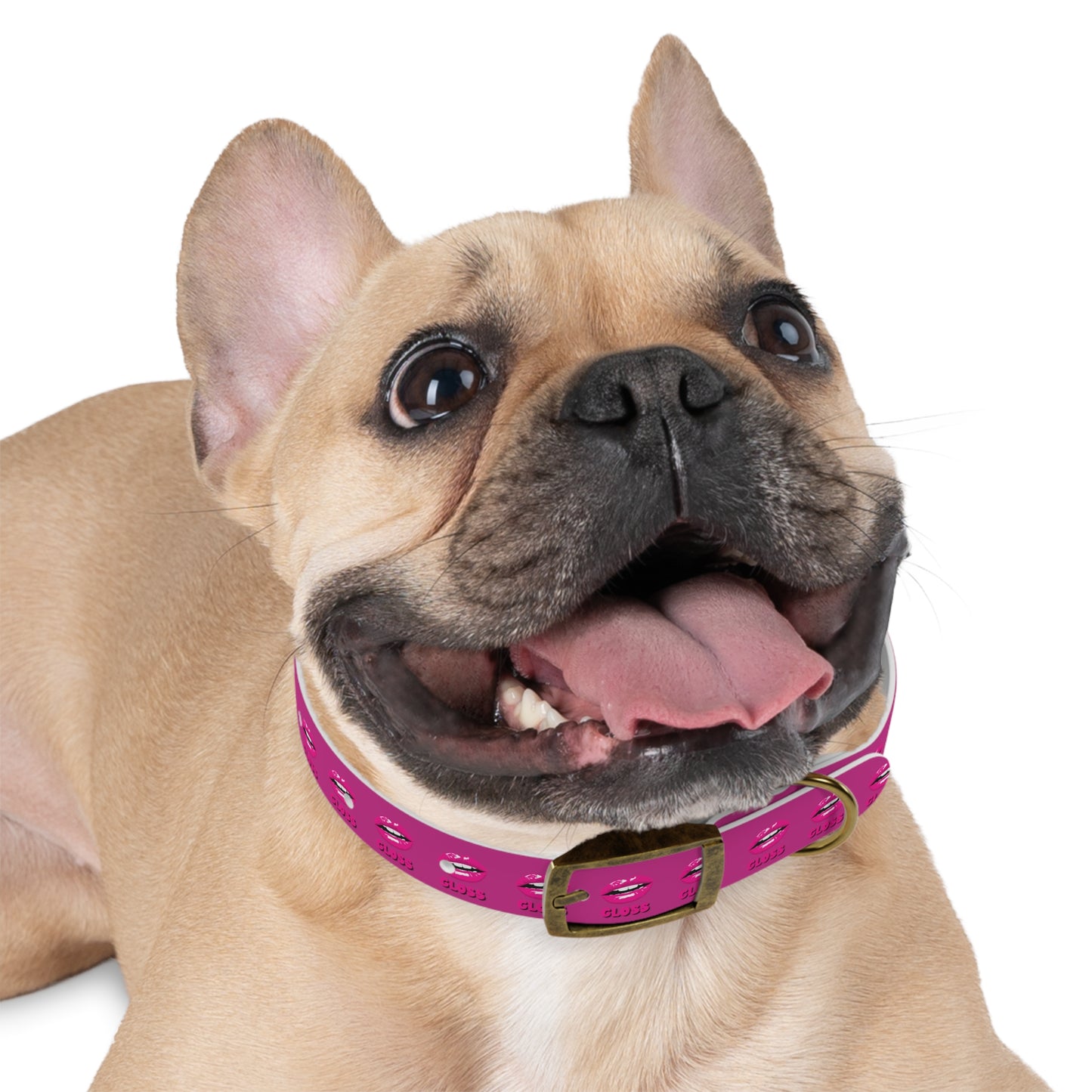 Dog Collar | Pink