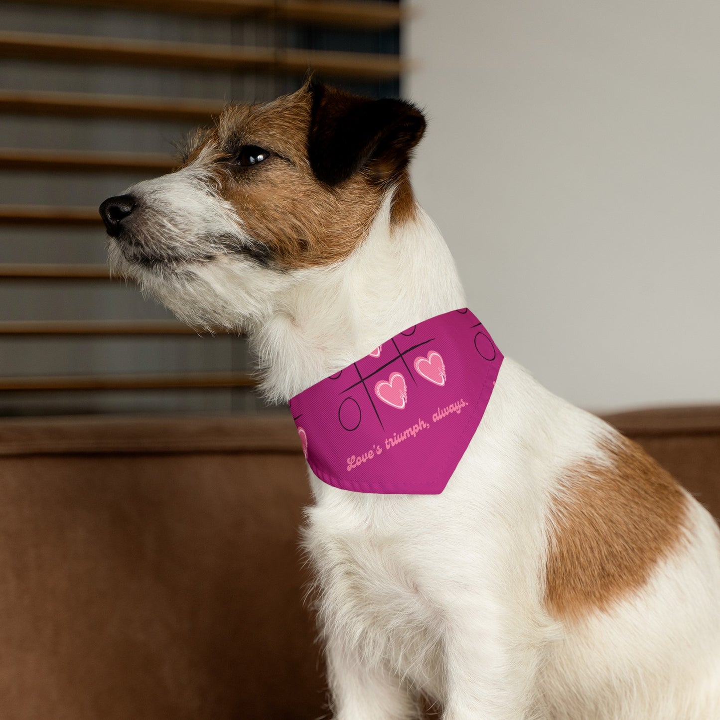 Pet Bandana | Pink Frog - Dog Collar