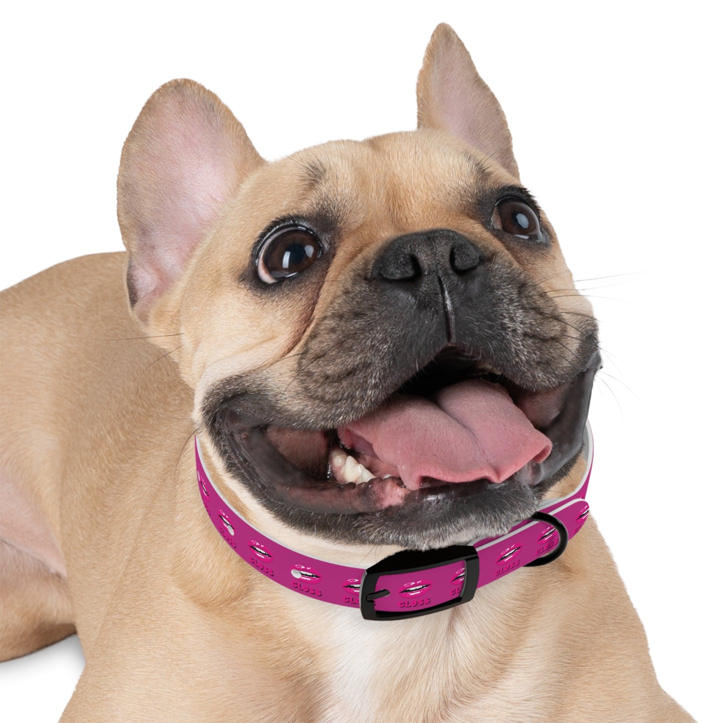 Dog Collar | Pink