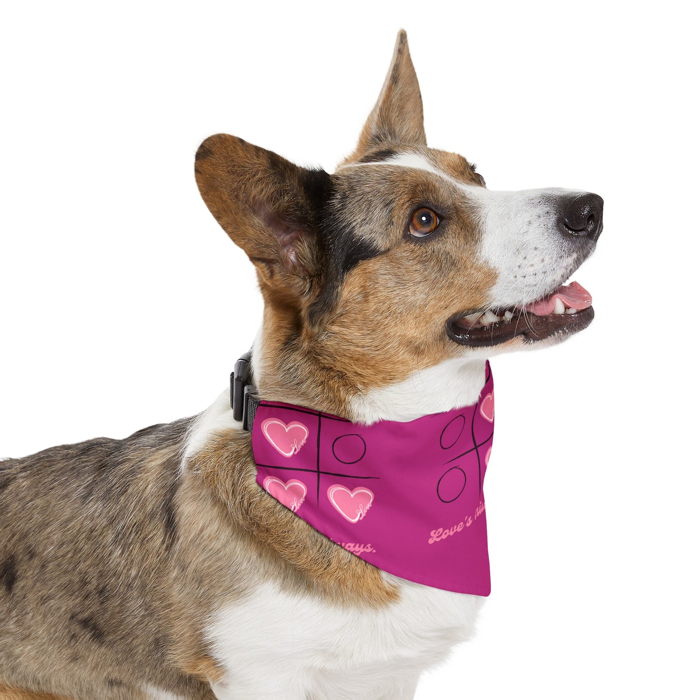 Pet Bandana | Pink Frog - Dog Collar