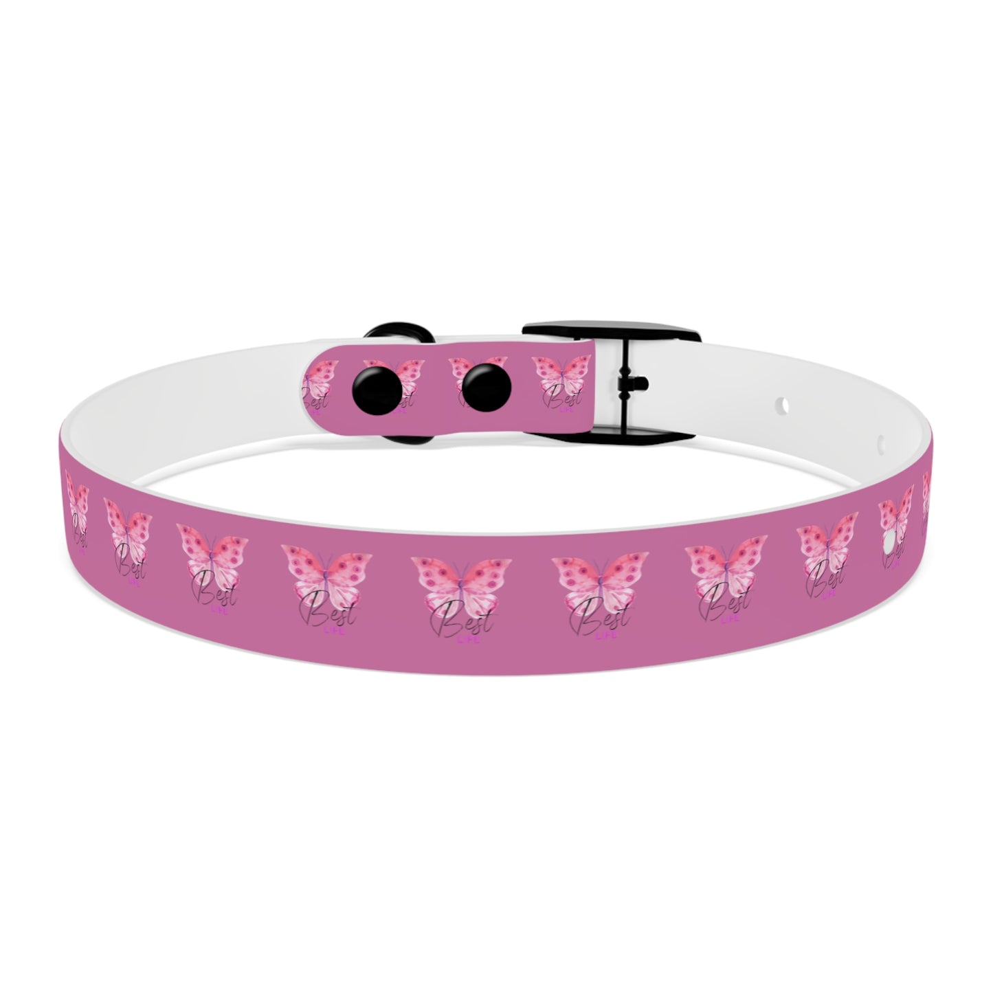 Dog Collar | Pink