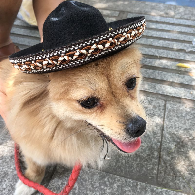 Mexican Style Pet Hat | Dog Hat Pet Supplies