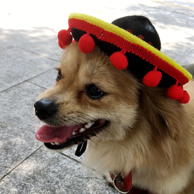 Mexican Style Pet Hat | Dog Hat Pet Supplies