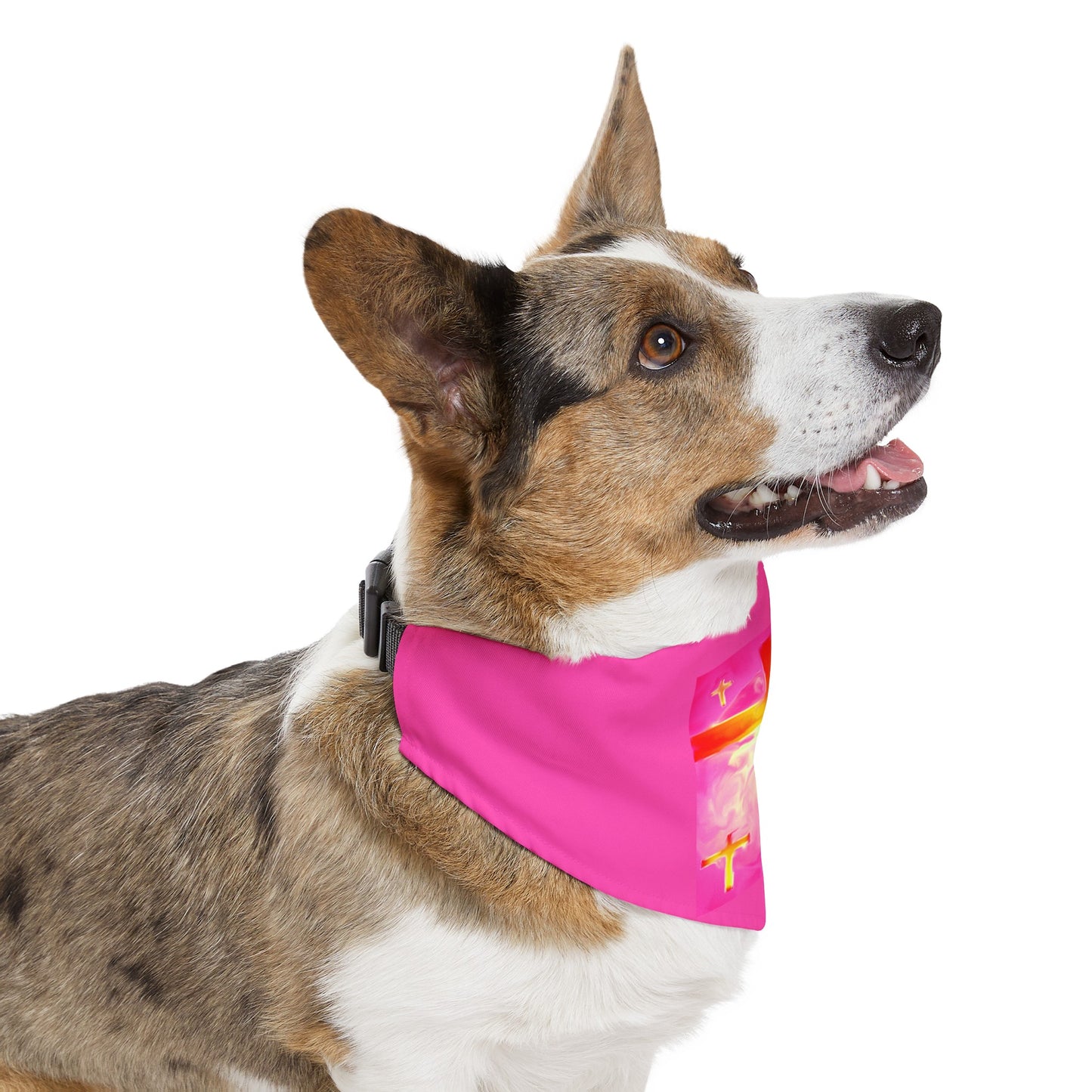 Pet Bandana | Pink Frog - Dog Collar