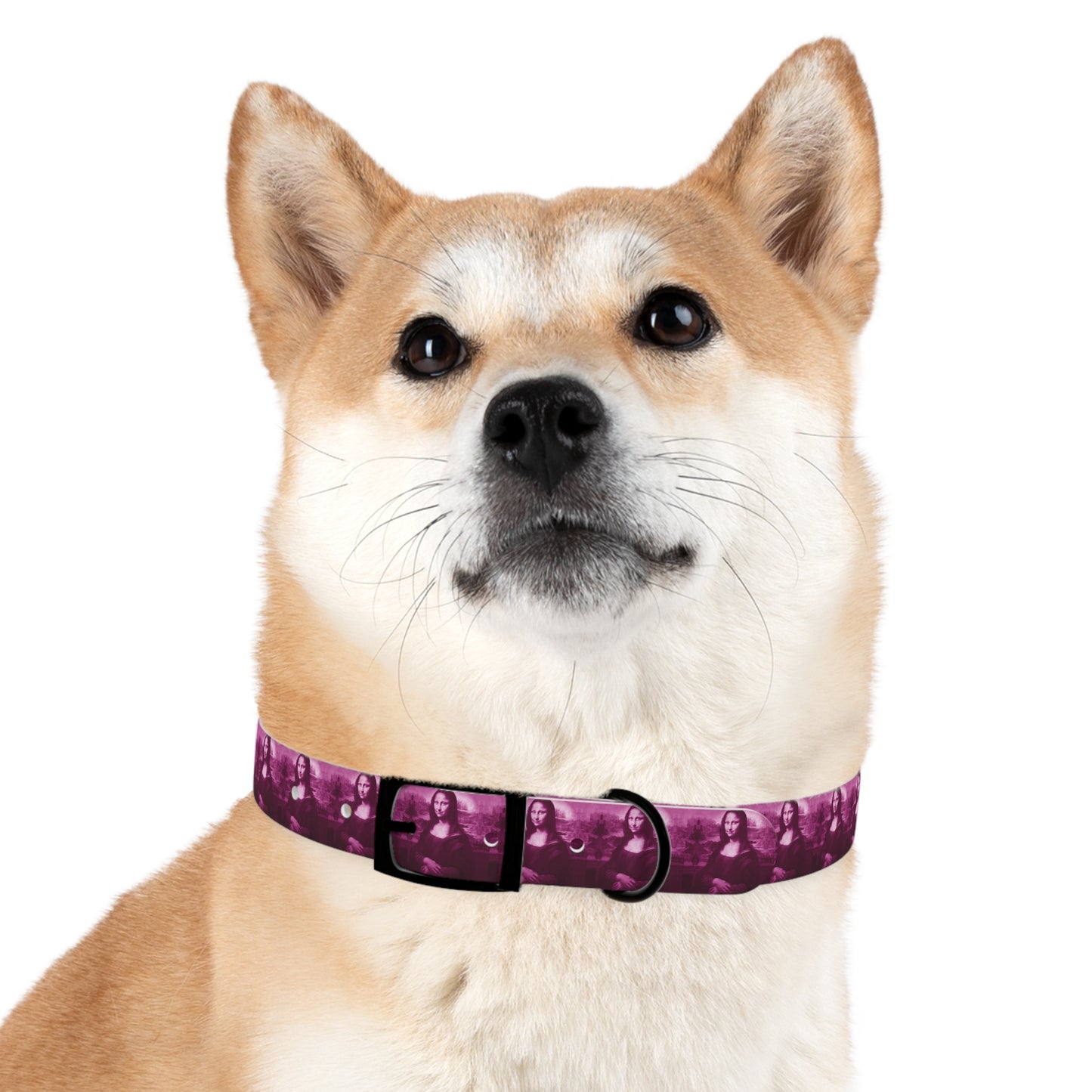 Dog Collar | Pink