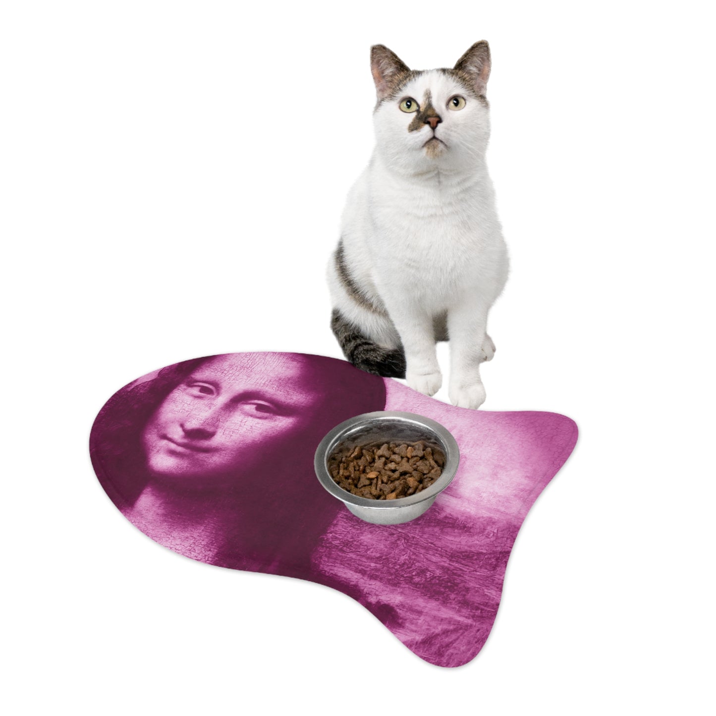 Pink Feeding Mat For Pets | Cats & Dogs