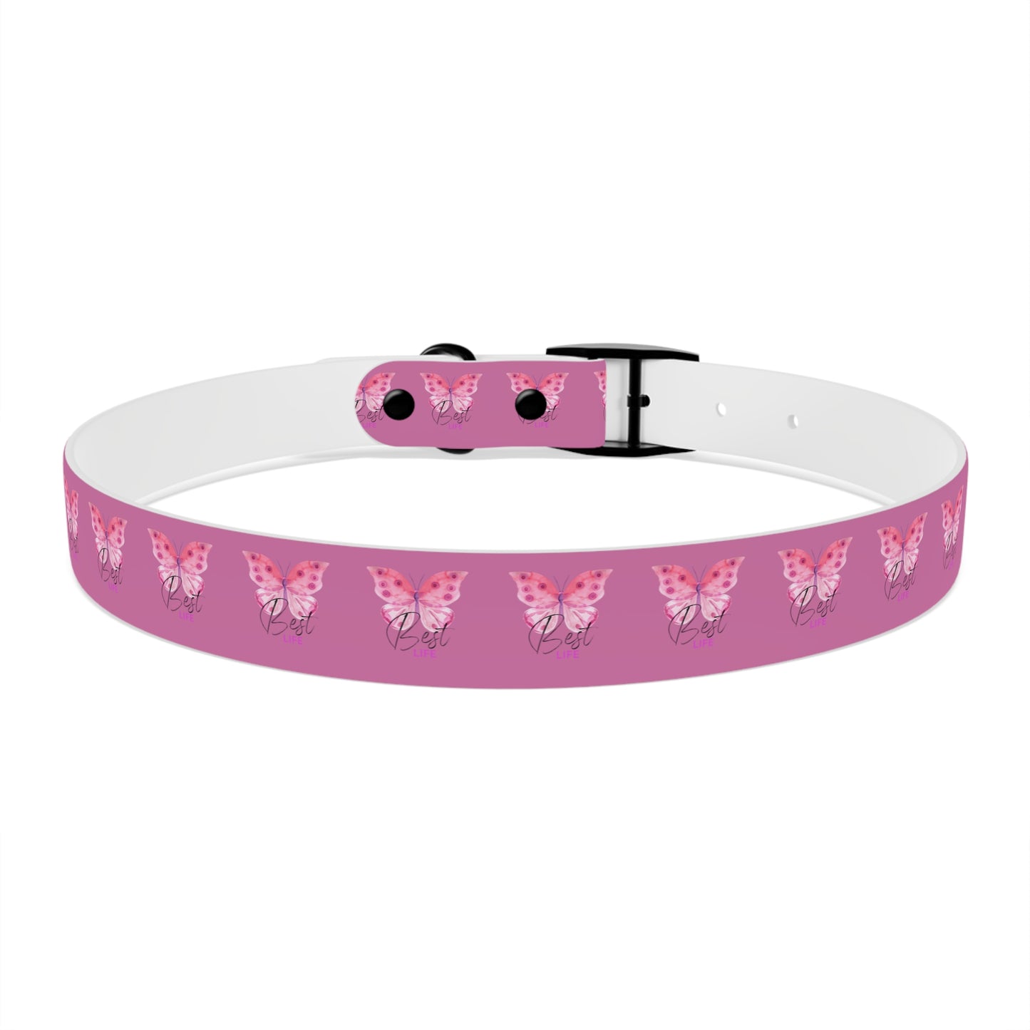 Dog Collar | Pink