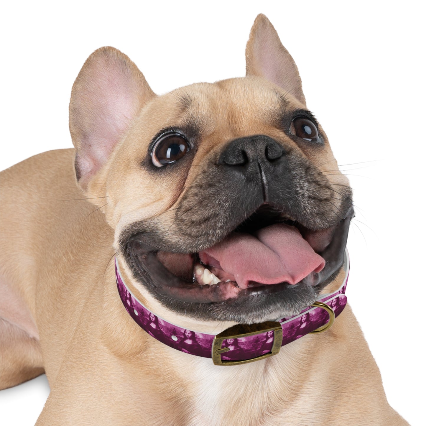 Dog Collar | Pink