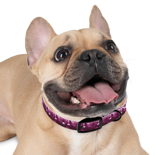 Dog Collar | Pink