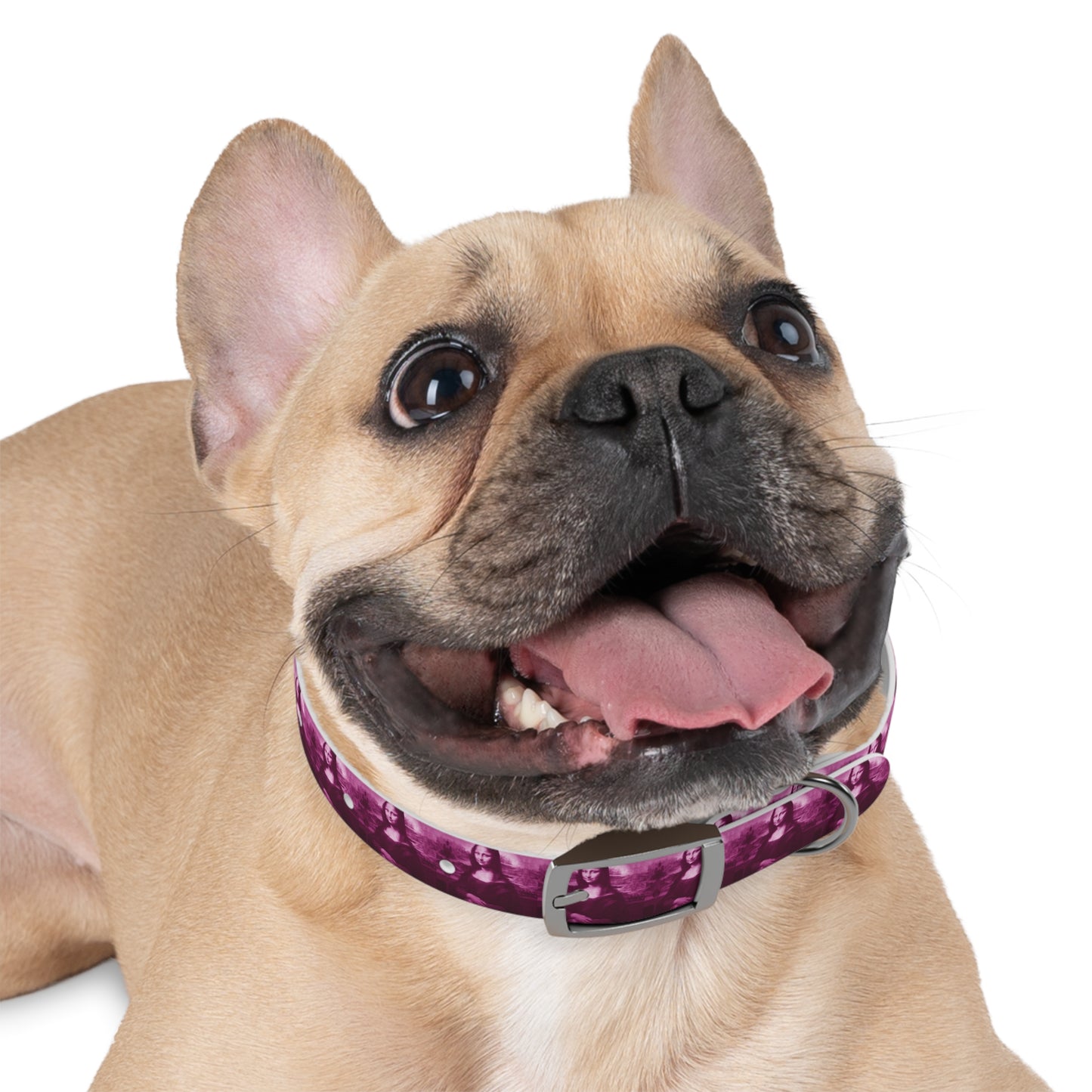 Dog Collar | Pink