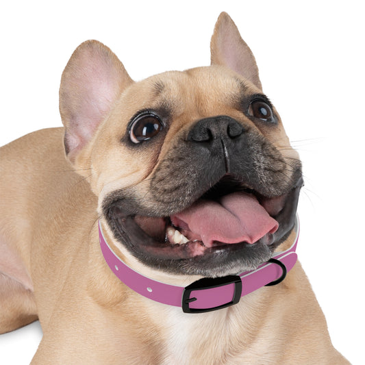 Dog Collar | Pink