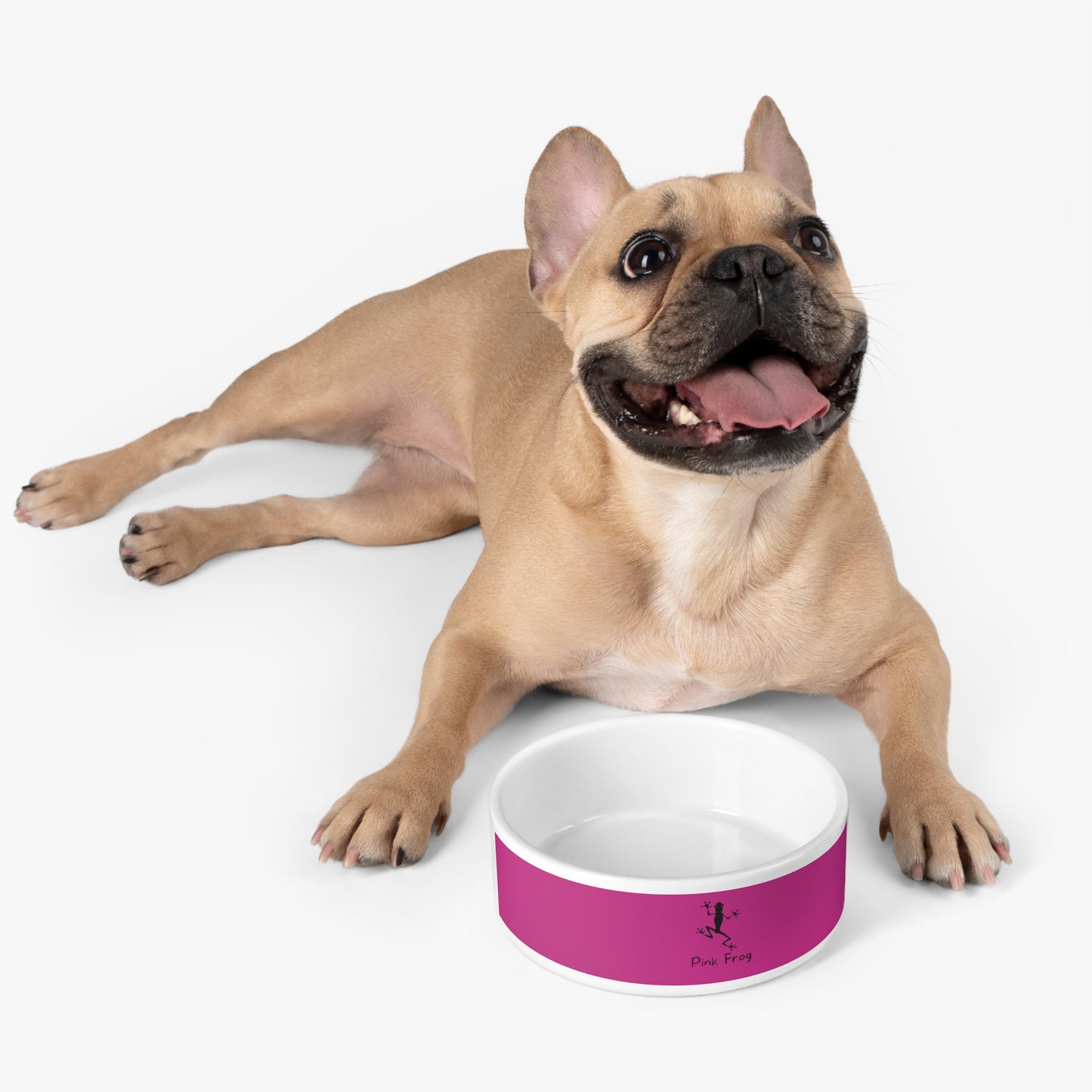 Pink Pet Bowl | Pets Feeding Bowls