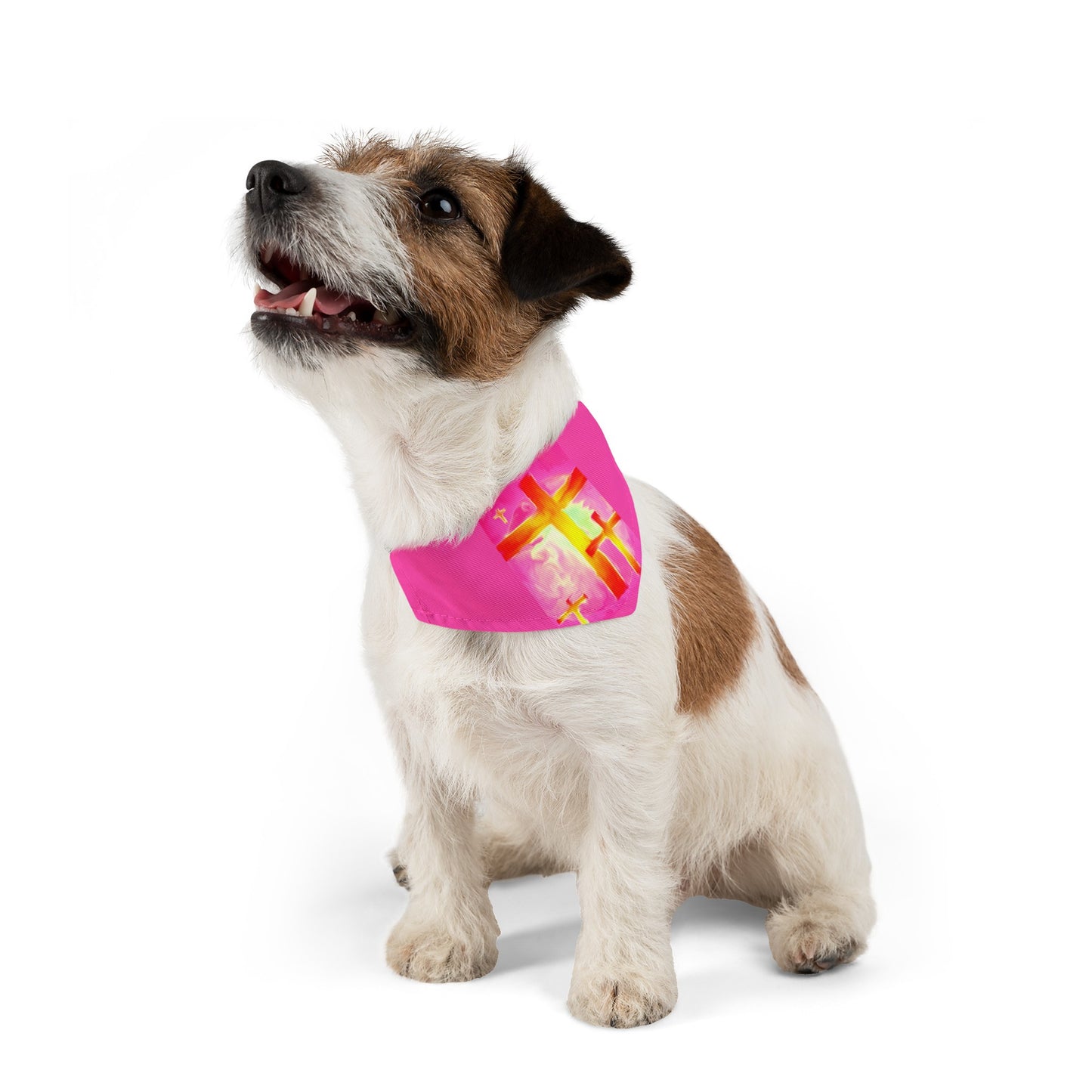 Pet Bandana | Pink Frog - Dog Collar